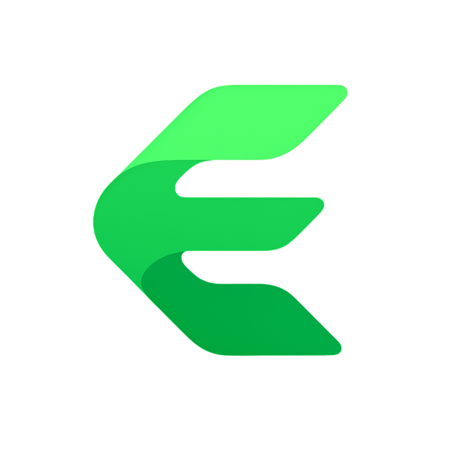Enxora Logo